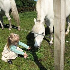 Anden særlig race Østergårdens Rommy
