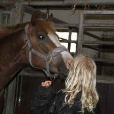 Anden særlig race Mikado