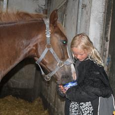 Anden særlig race Mikado