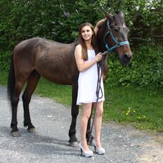 Traver Peter Danica!<3 [Mors hest]