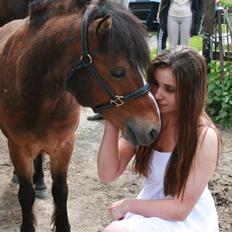 Gotlandsruss Pingo Pan(Æslet) <3