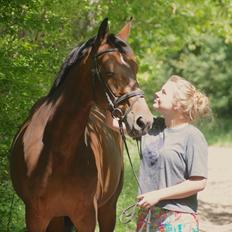 Dansk Varmblod Monopoly