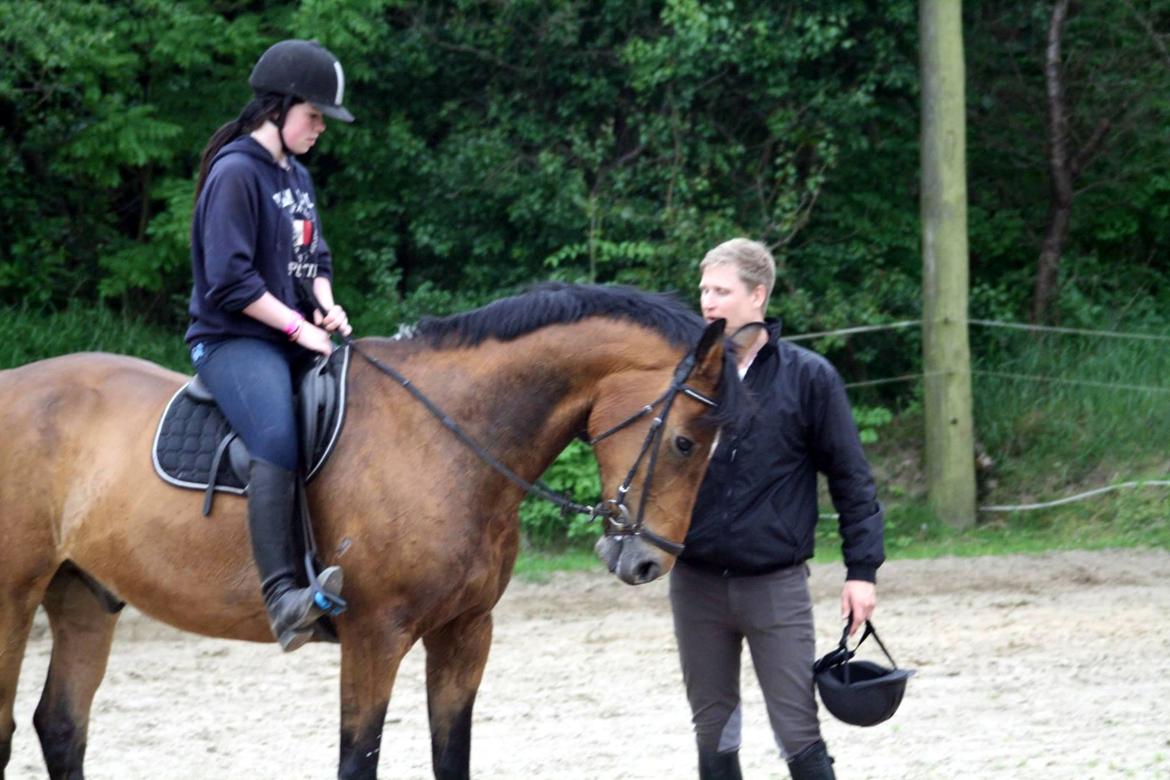 Anden særlig race Arcibald billede 9