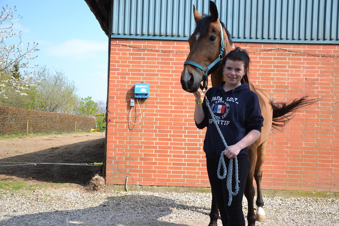 Anden særlig race Arcibald billede 7