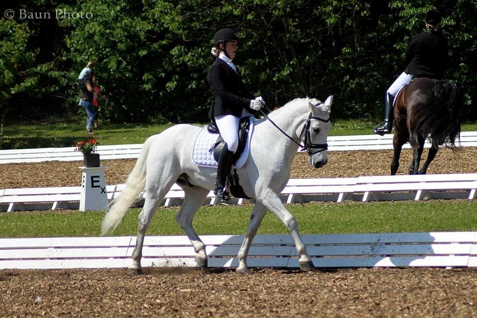 Connemara Hesselholt's Casano B-pony billede 9