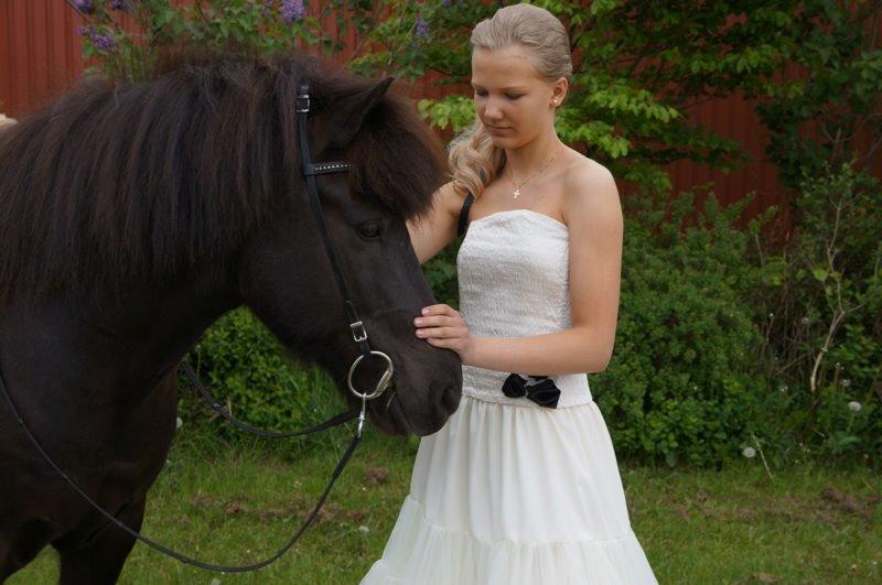 Islænder Freki fra Truust - Freki til min Konfirmation <3 billede 3