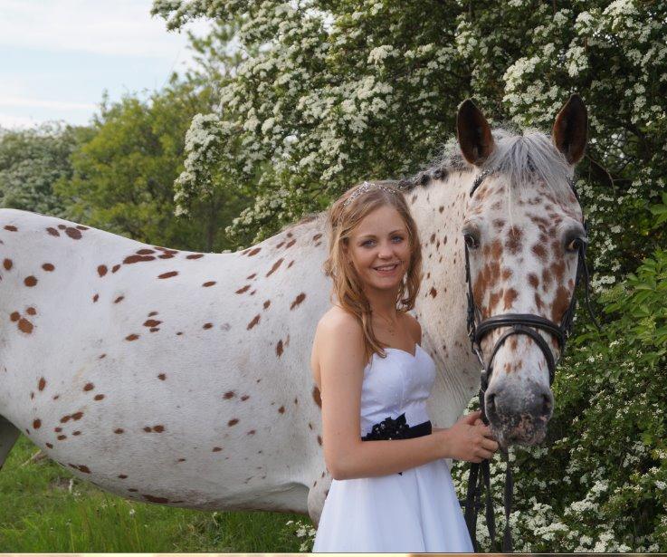 Knabstrupper Nevara Shadow aka. Punto - Konfirmation 18-5-2014 billede 12