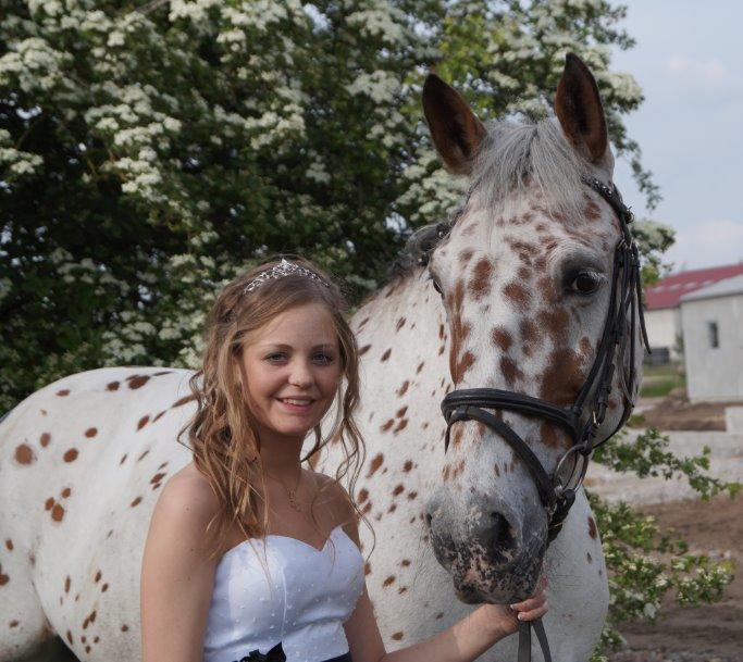 Knabstrupper Nevara Shadow aka. Punto - Konfirmation 18-5-2014 billede 16