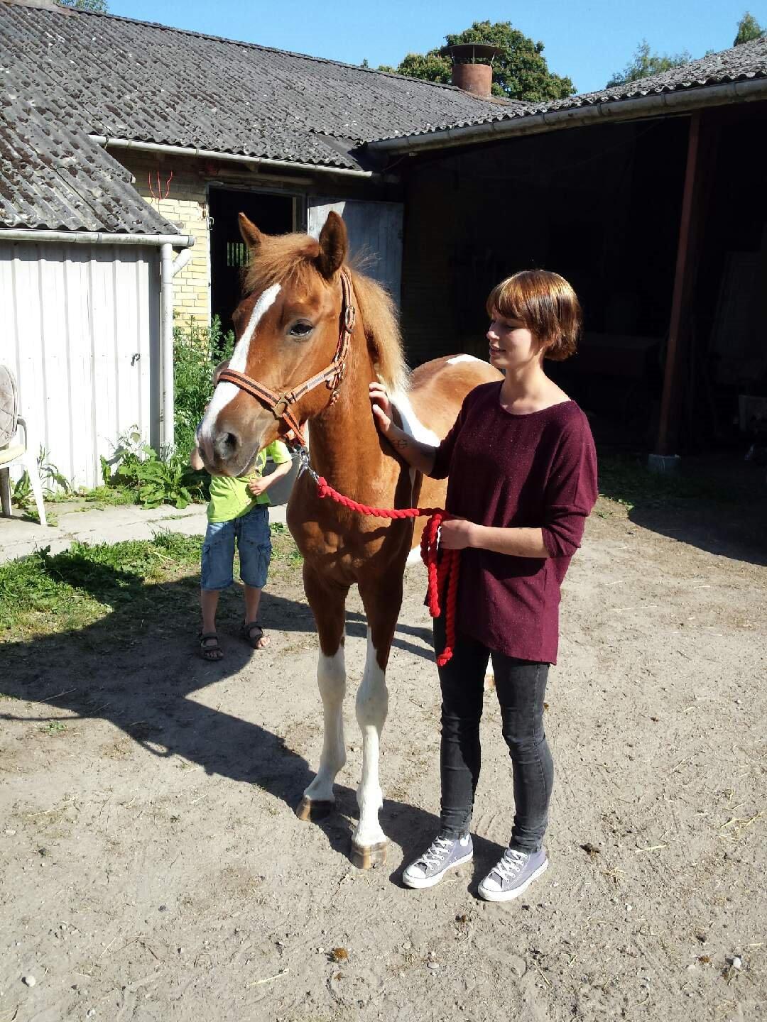 Anden særlig race Lucky billede 1