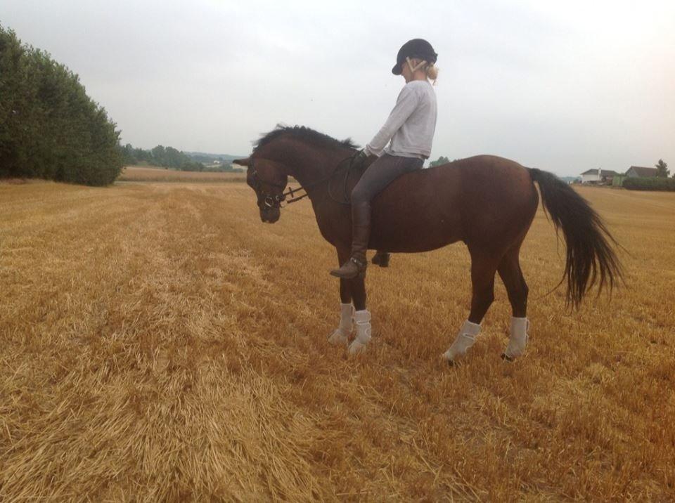 DSP Ambrosius A.M. billede 18