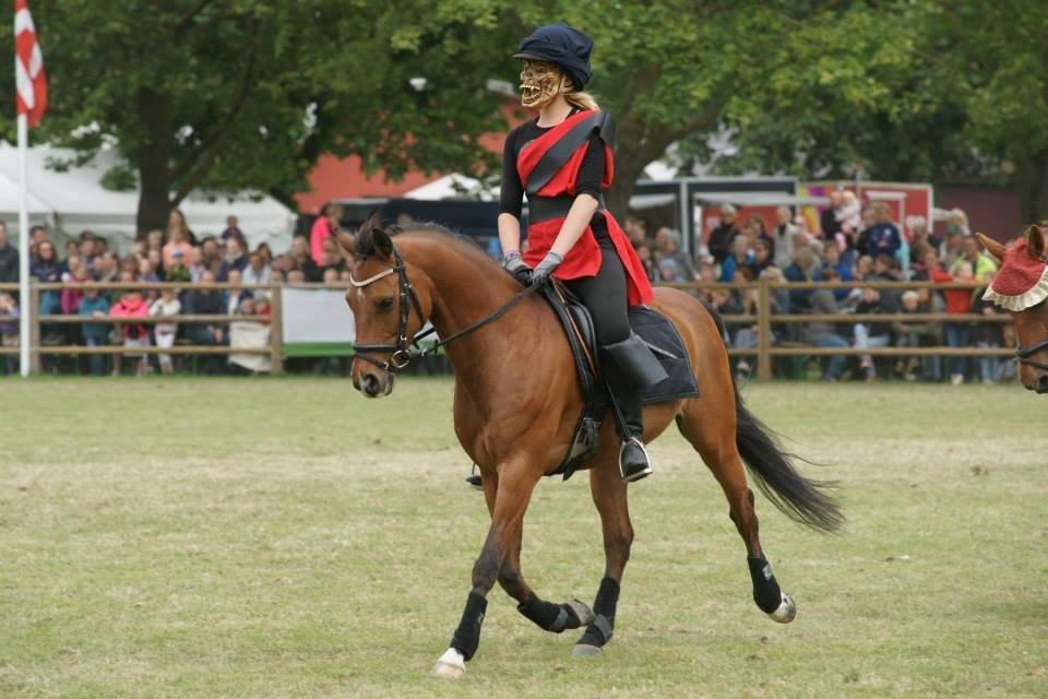 DSP Ambrosius A.M. billede 19