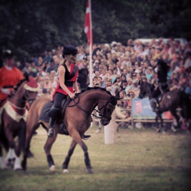 DSP Ambrosius A.M. billede 20