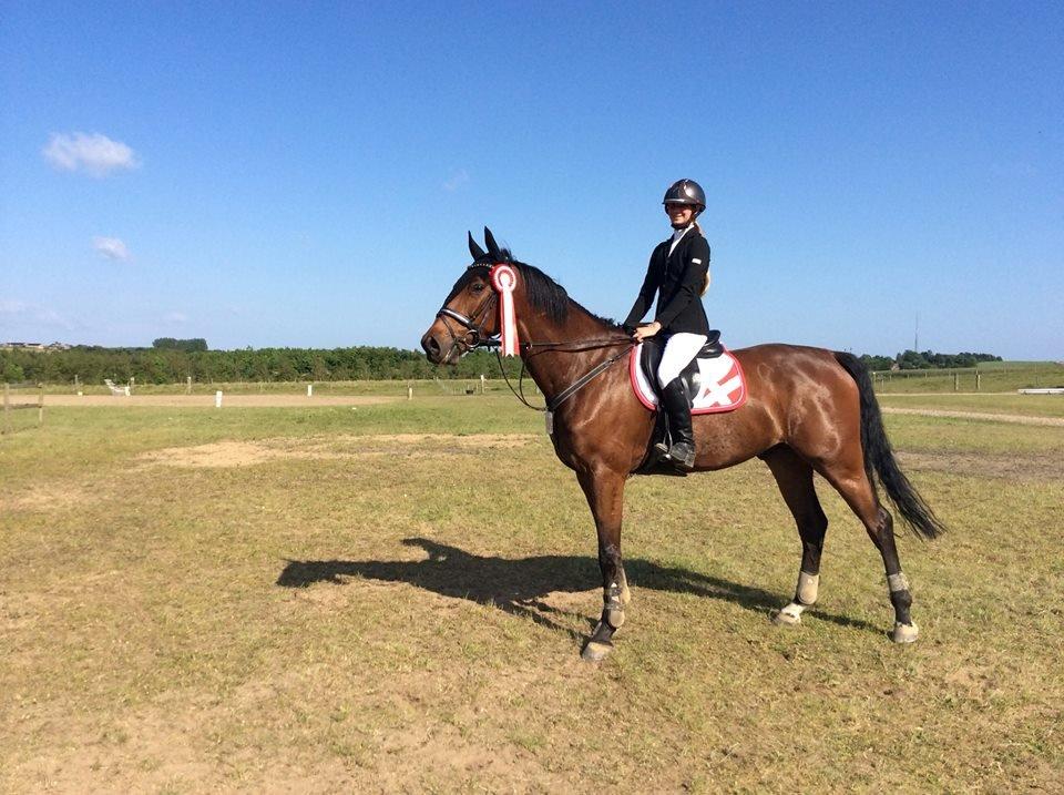 Dansk Varmblod Happy Heart C  - Debut i 120 cm. 2014 billede 5