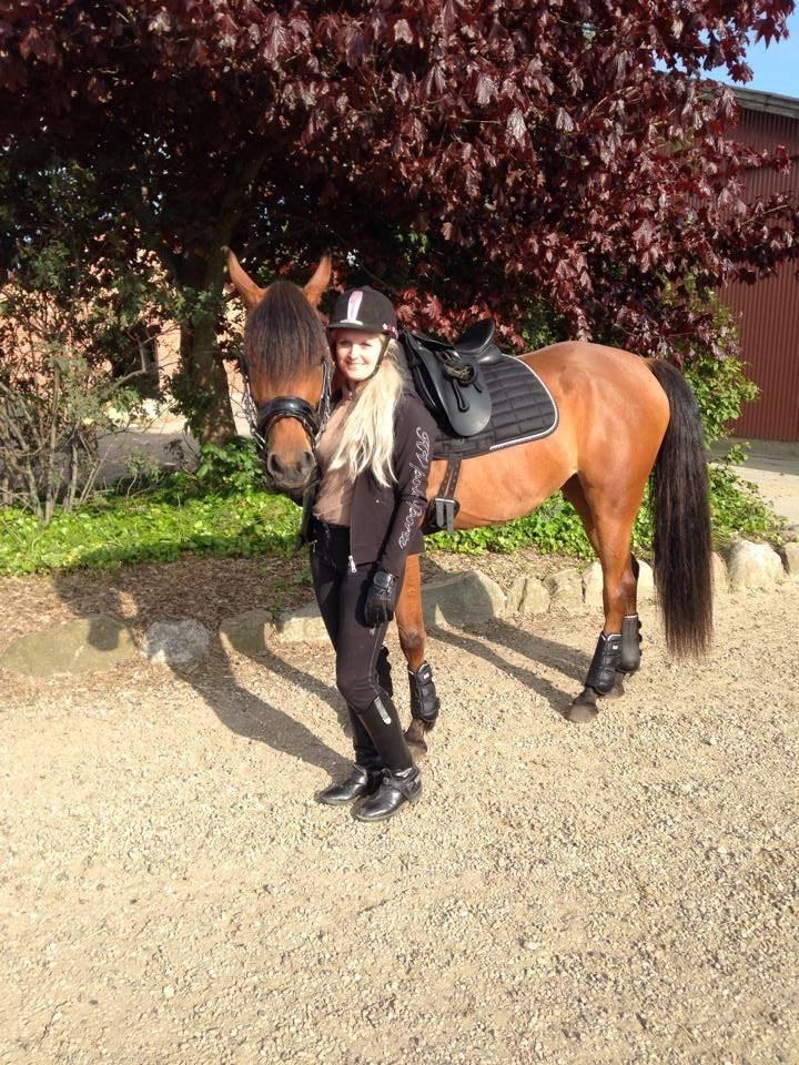 Arabisk fuldblod (OX) Anaya el karmdal oc ox billede 16