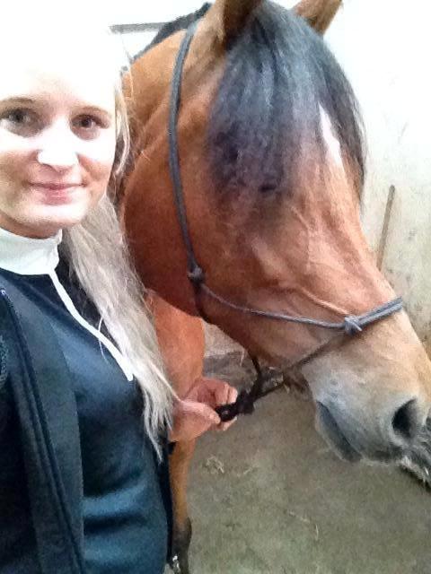 Arabisk fuldblod (OX) Anaya el karmdal oc ox billede 17