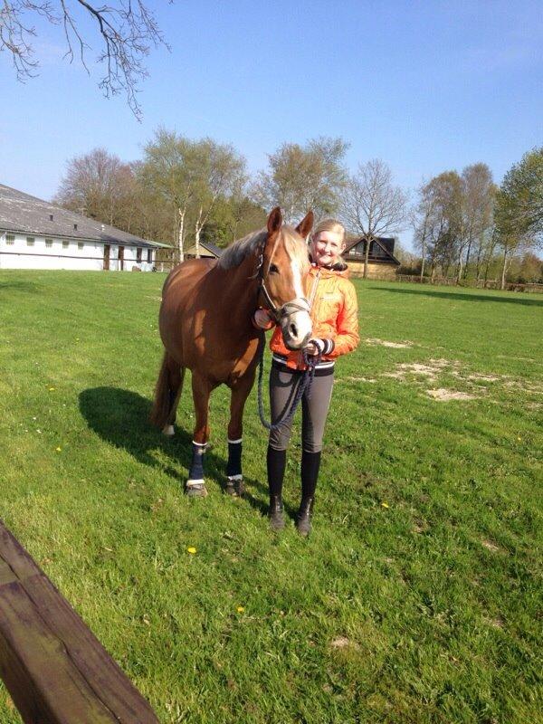 Anden særlig race Prinsess billede 17