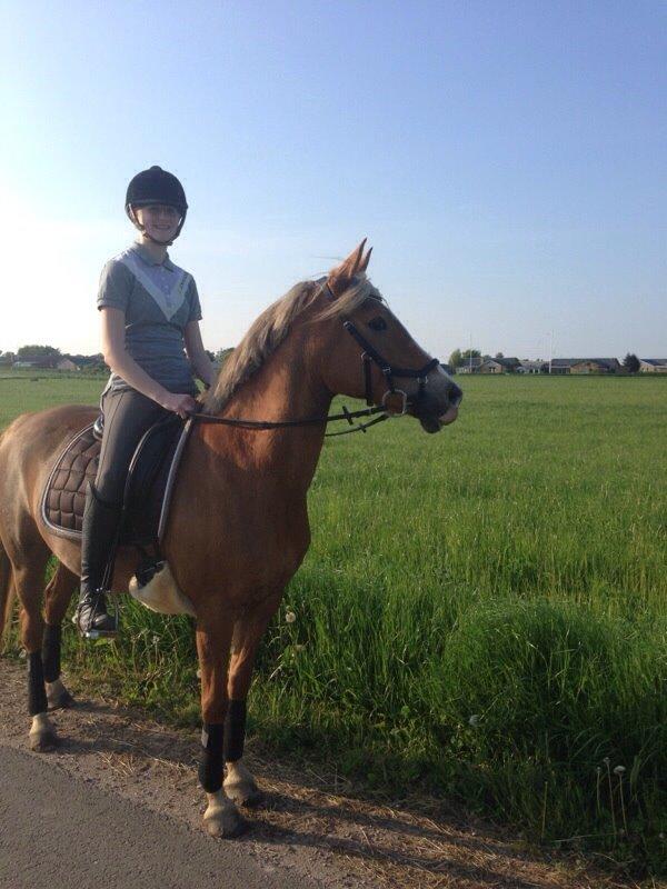 Anden særlig race Prinsess billede 16