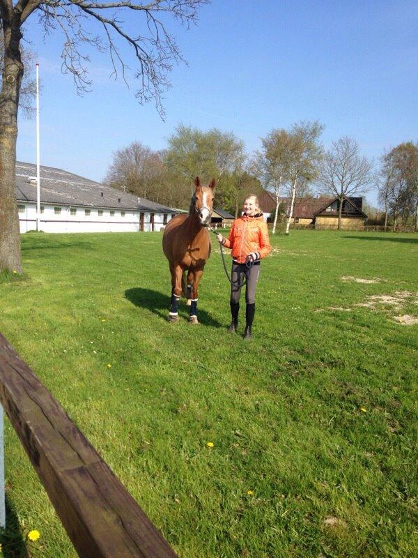 Anden særlig race Prinsess billede 15