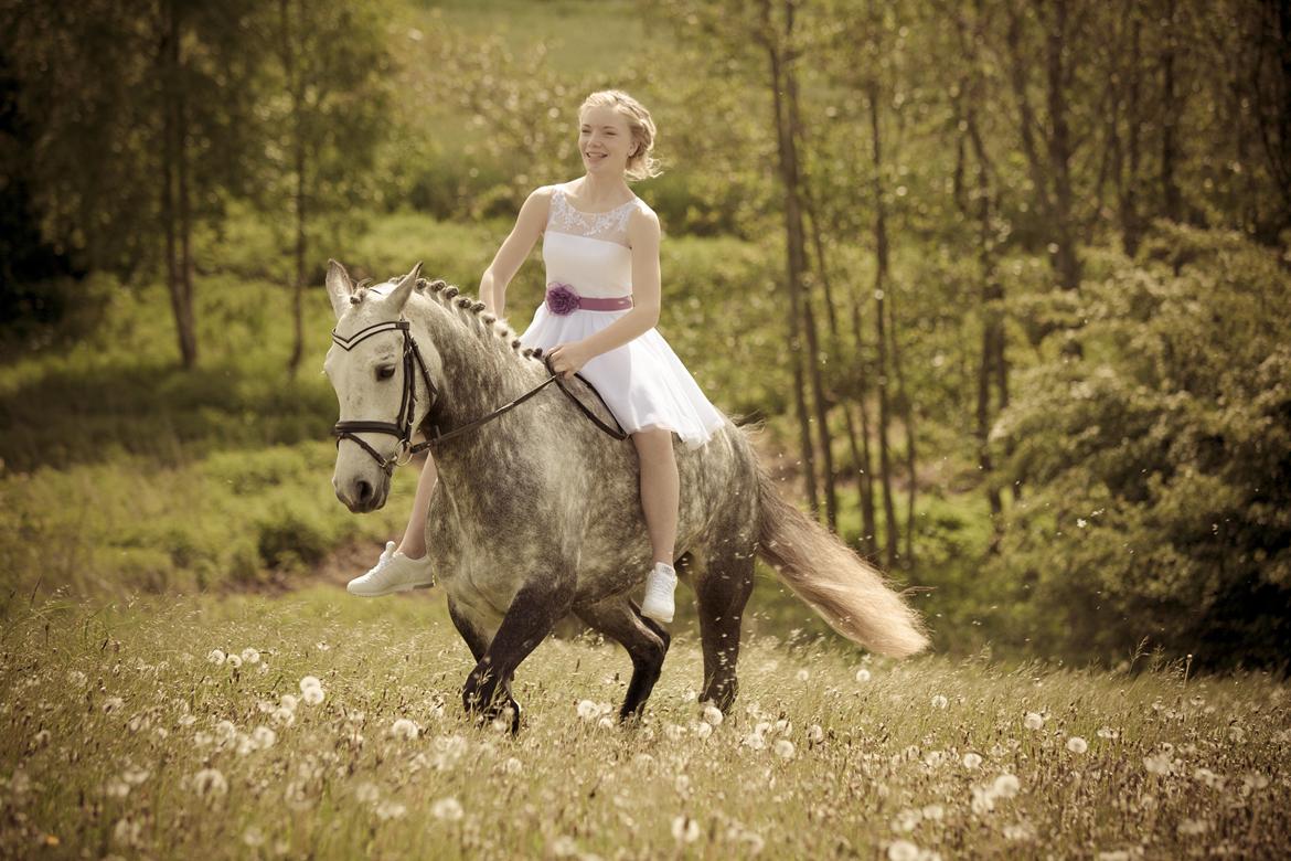 Connemara Mosegårdens Mascha  - 18/5!! konfirmation<33 billede 14