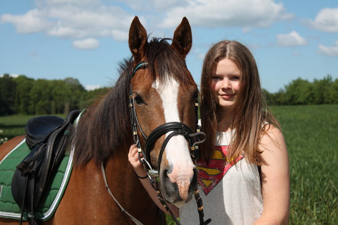 DSP Thorslunds Sunny Boy - Tak fordi i kiggede forbi, smid gerne bedømmelse og kommentar :D<3 Mesterfotograf Juliane <3 billede 19