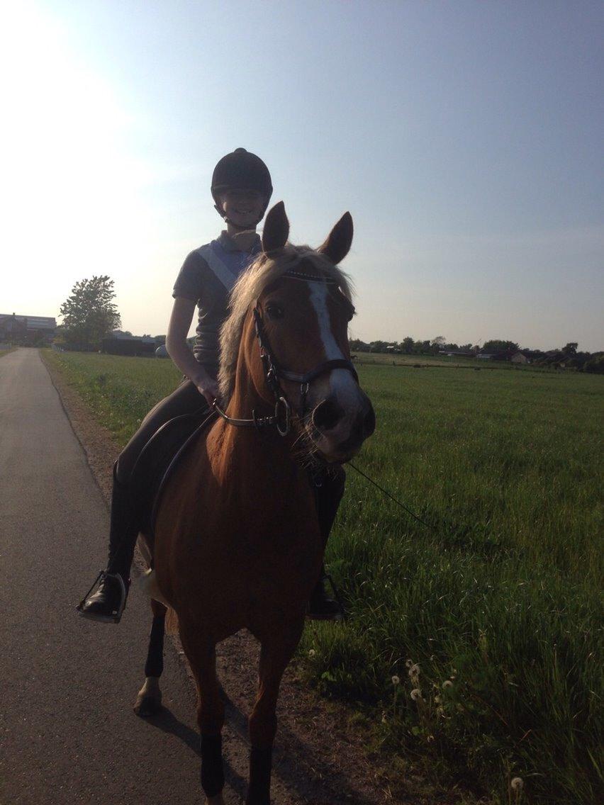 Anden særlig race Prinsess billede 20