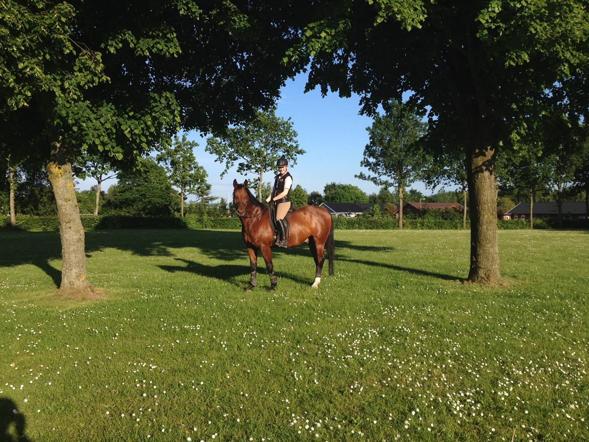 Oldenborg Dragonens Select - Velkommens til Select's profil :-) billede 1