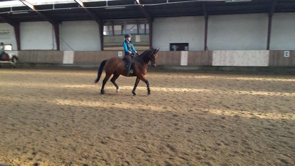 Oldenborg Dragonens Select billede 3