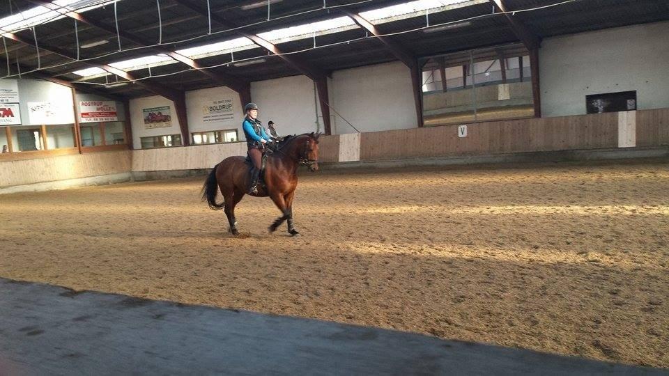 Oldenborg Dragonens Select billede 5