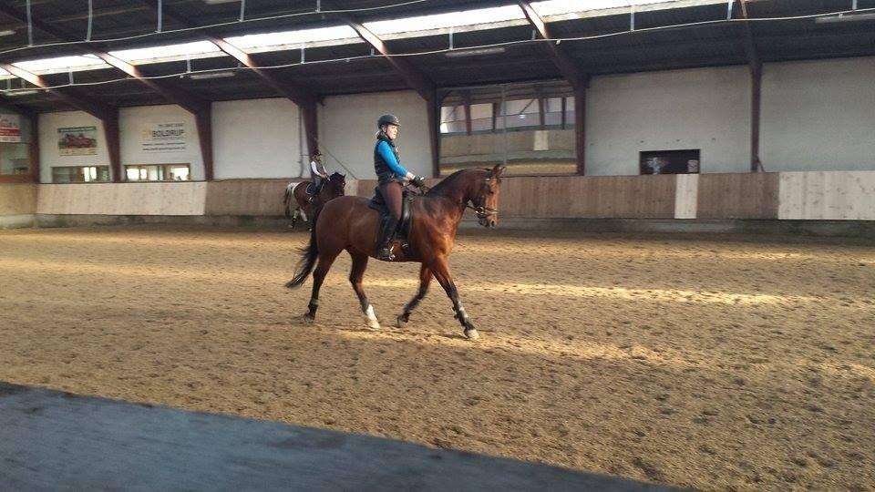 Oldenborg Dragonens Select billede 6