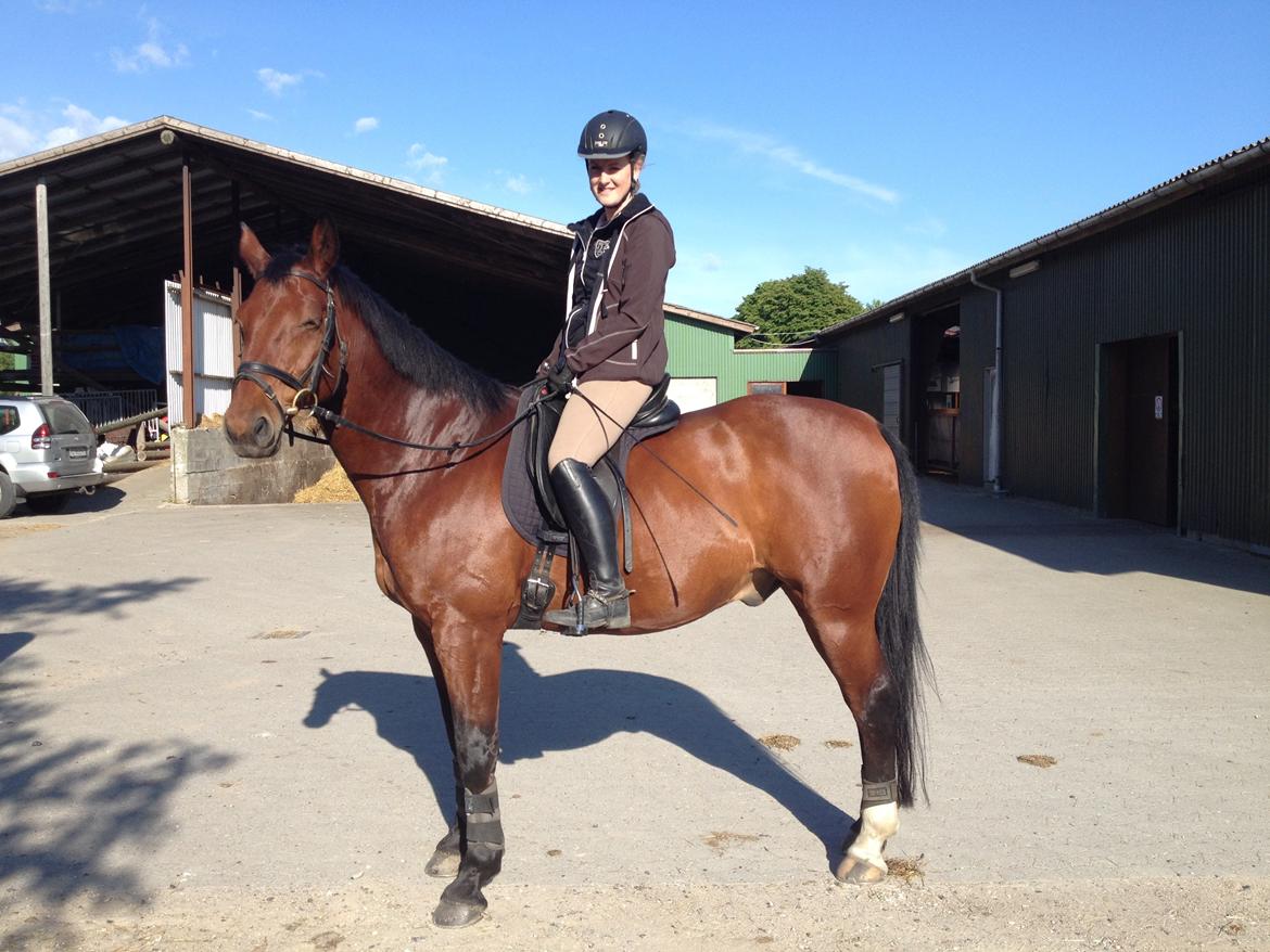 Oldenborg Dragonens Select - Klar til undervisning i det dejlige vejr :-) billede 7