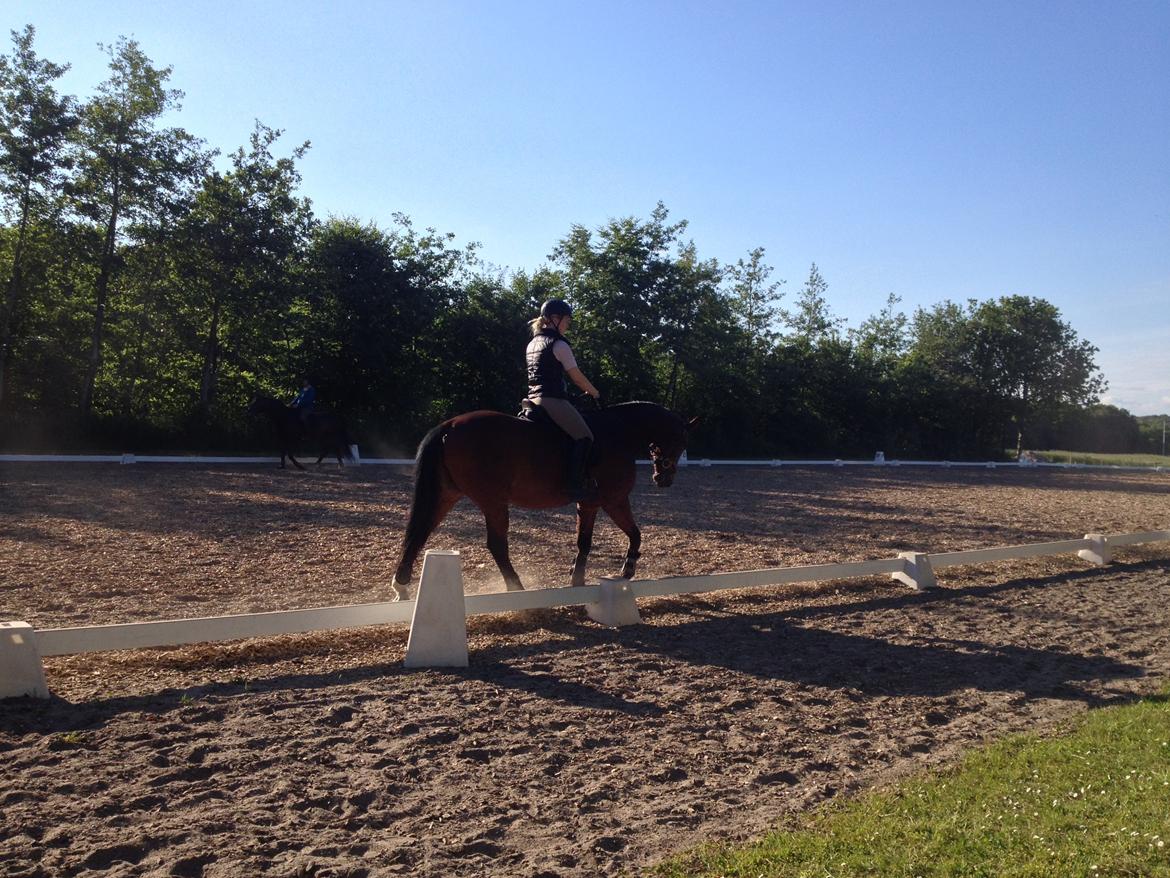 Oldenborg Dragonens Select billede 8