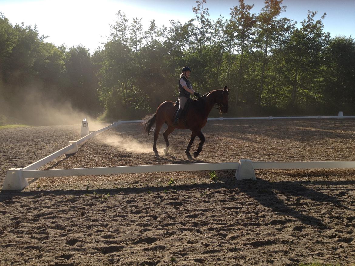 Oldenborg Dragonens Select billede 9