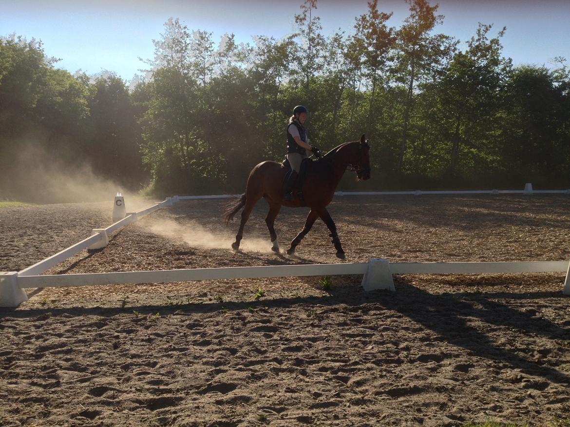 Oldenborg Dragonens Select billede 10