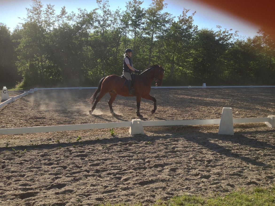 Oldenborg Dragonens Select billede 12