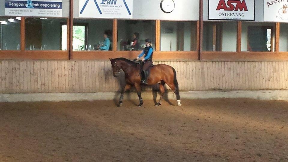 Oldenborg Dragonens Select billede 4