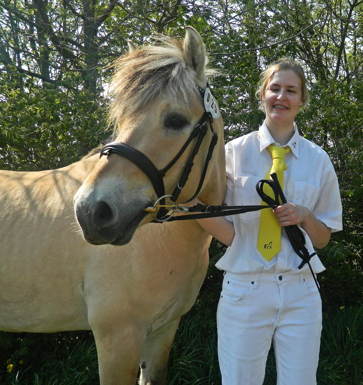 Fjordhest Oscar Vårby billede 49