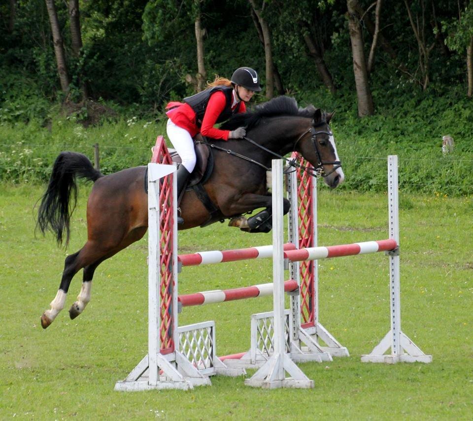 Tysk Sportspony PHW's Neils B-pony - Heste stævne på Neils - Maj 2014 billede 17