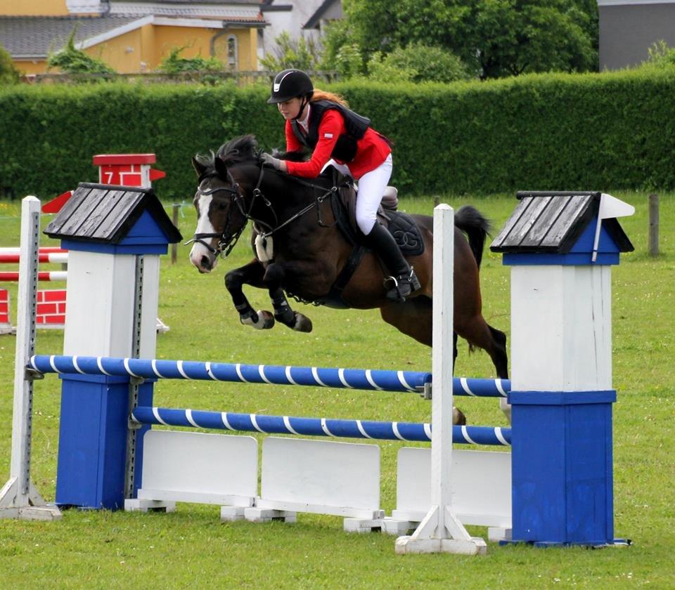 Tysk Sportspony PHW's Neils B-pony - Heste stævne på Neils - Maj 2014 billede 18