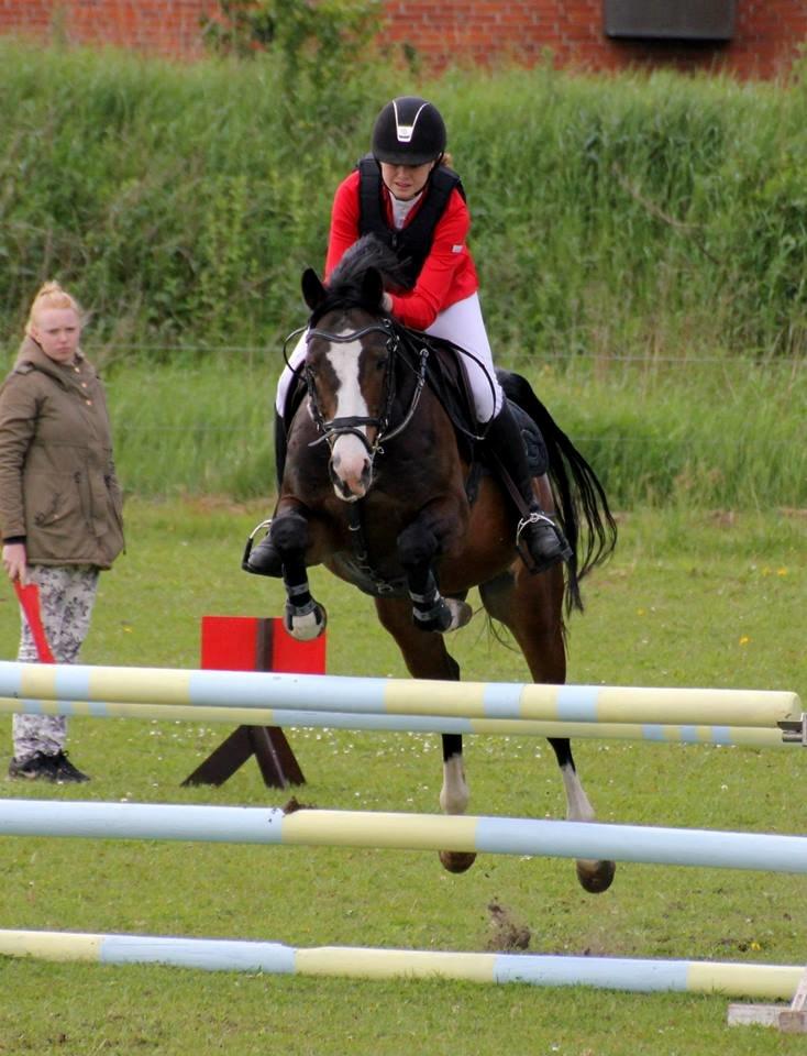 Tysk Sportspony PHW's Neils B-pony - Heste stævne på Neils - Maj 2014 billede 19