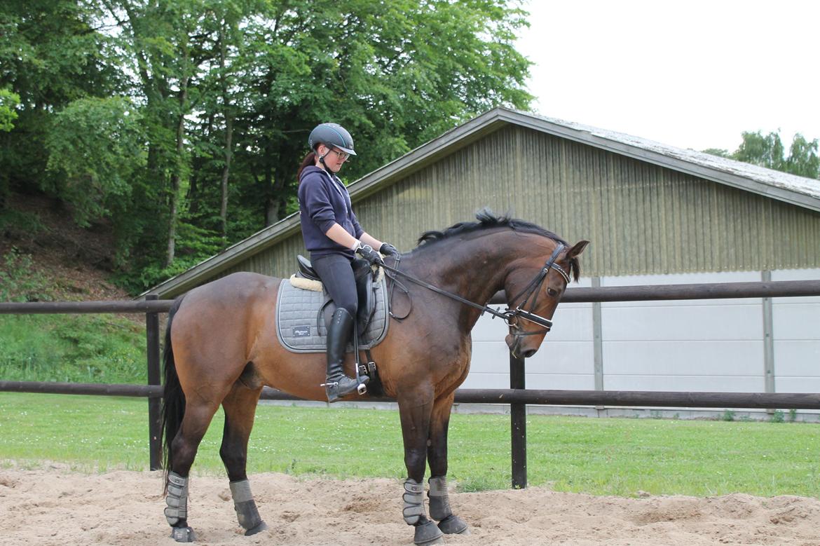 Anden særlig race Sputnik (Sprutte) - 4 juni 2014 billede 13