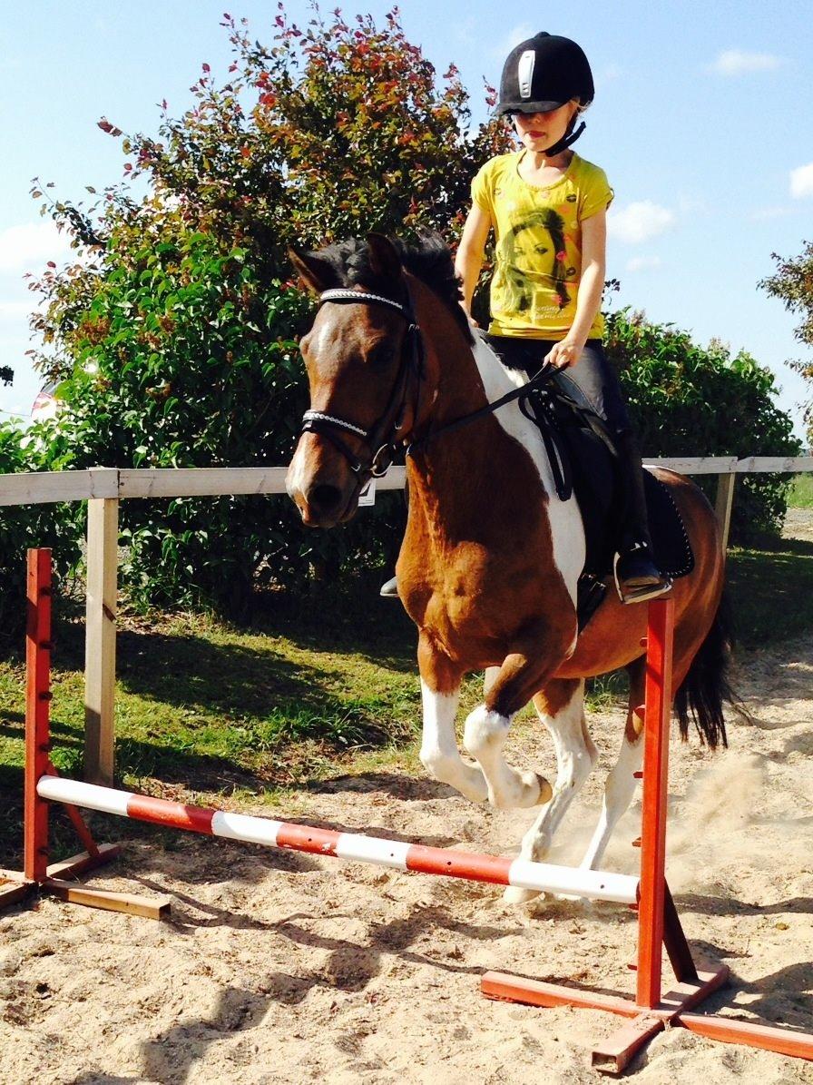 Anden særlig race Armani  - Nogen af de første spring sammen, sommer '14 billede 20