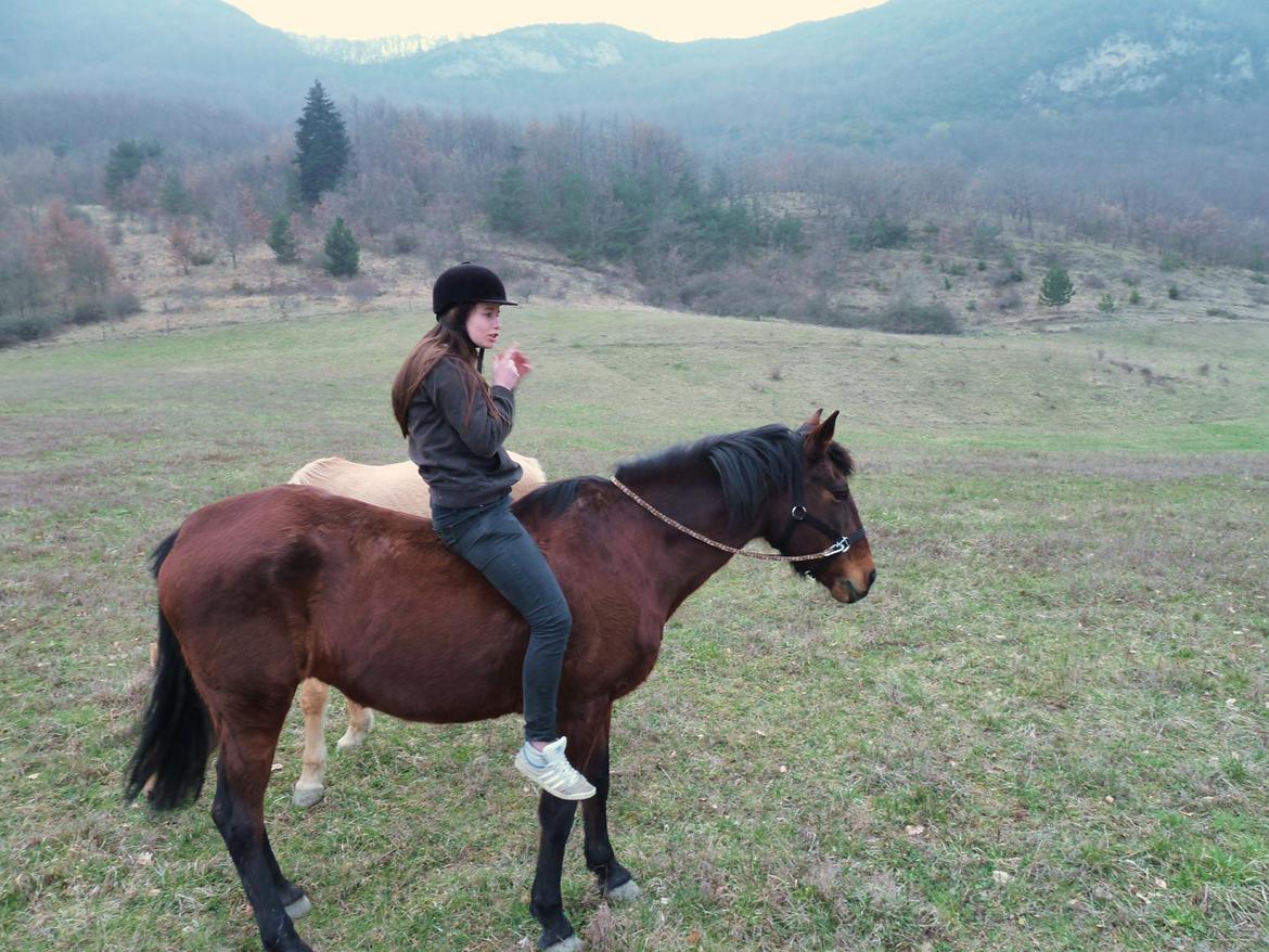 Anden særlig race Cerise billede 3