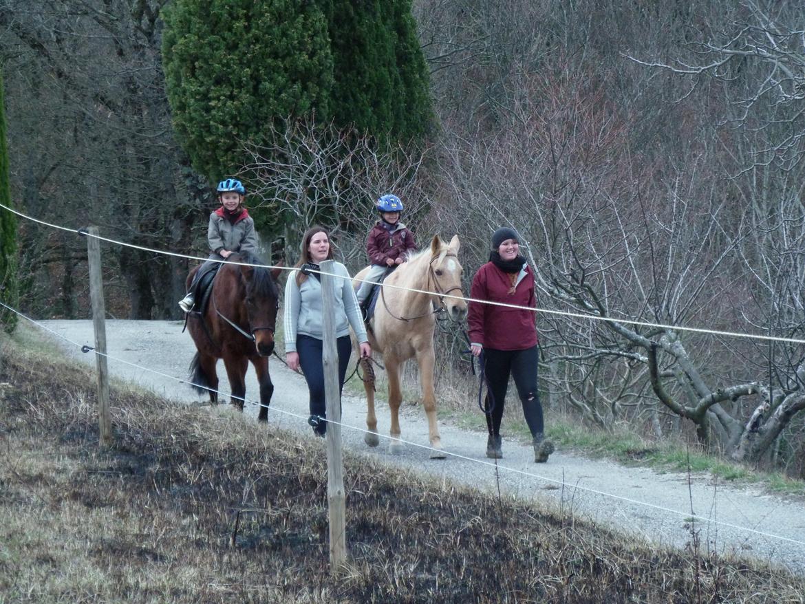 Anden særlig race Cerise billede 6