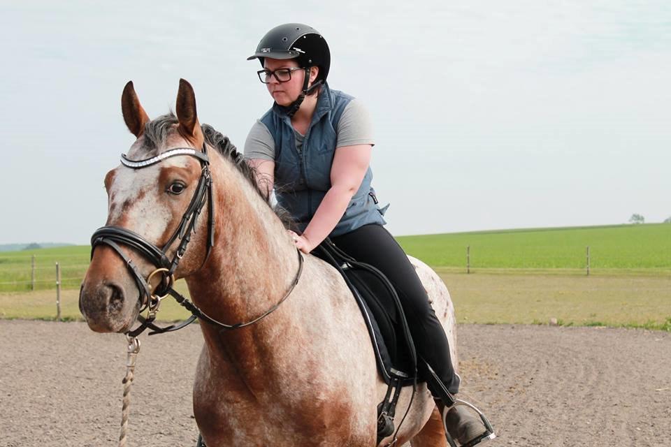 Anden særlig race Titon - Kong Triton SOLGT - Titon juni 2014 billede 6