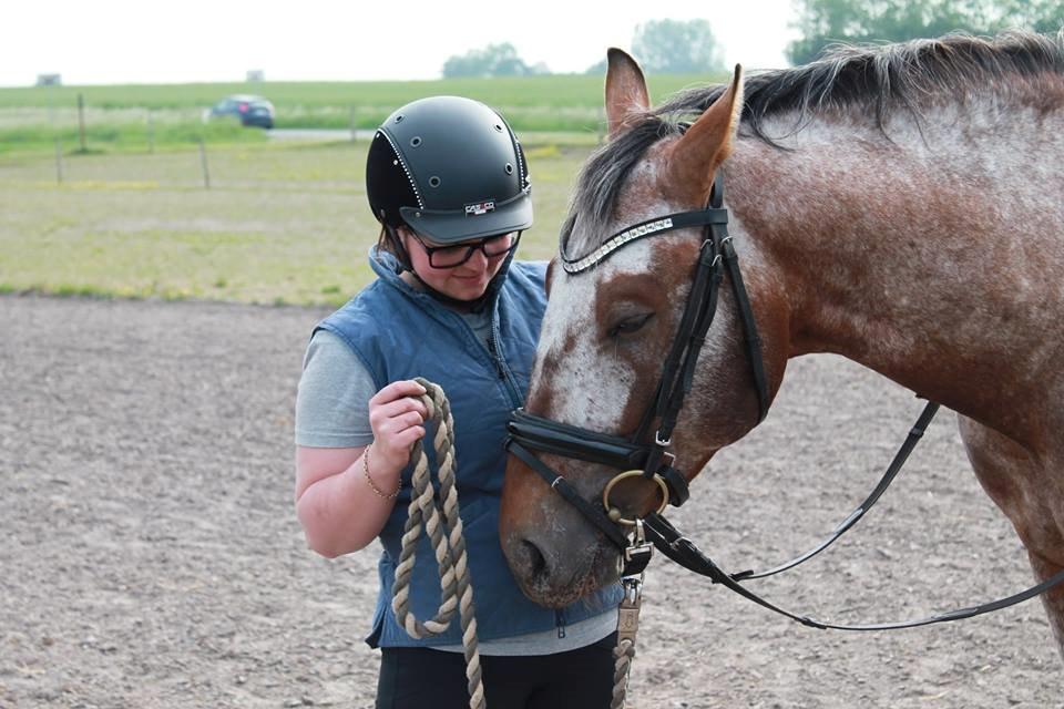 Anden særlig race Titon - Kong Triton SOLGT - Titon juni 2014 billede 16