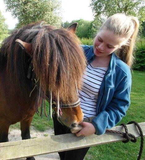 Islænder Óðinn fra lille Nørregård billede 16