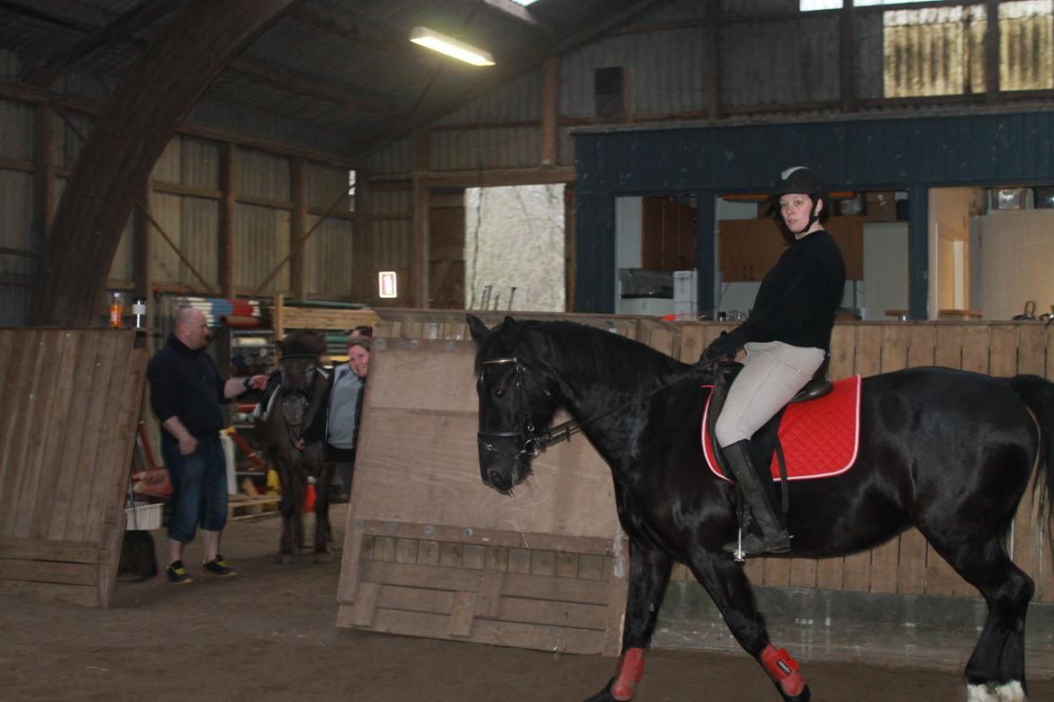 Anden særlig race Flika billede 12