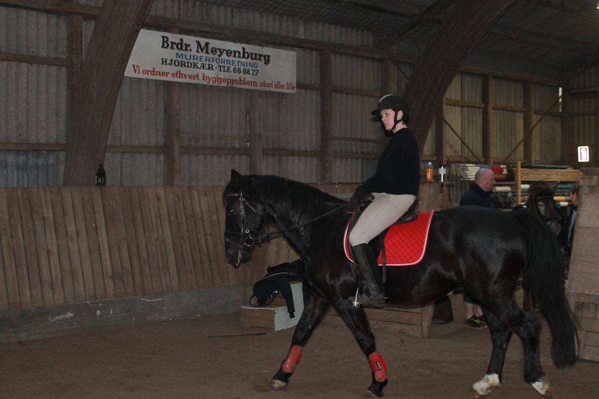 Anden særlig race Flika billede 10