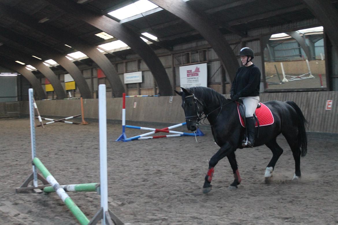 Anden særlig race Flika billede 6