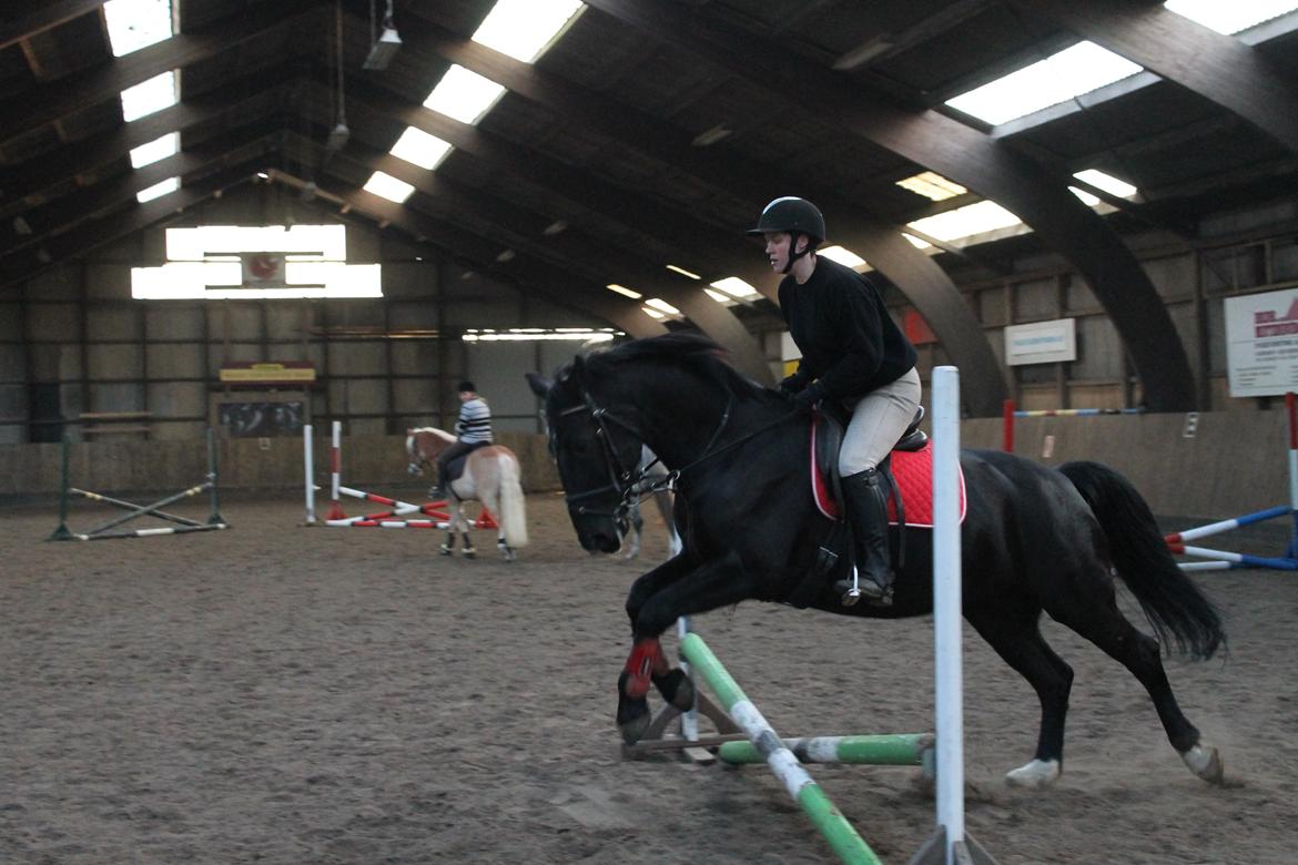 Anden særlig race Flika billede 4